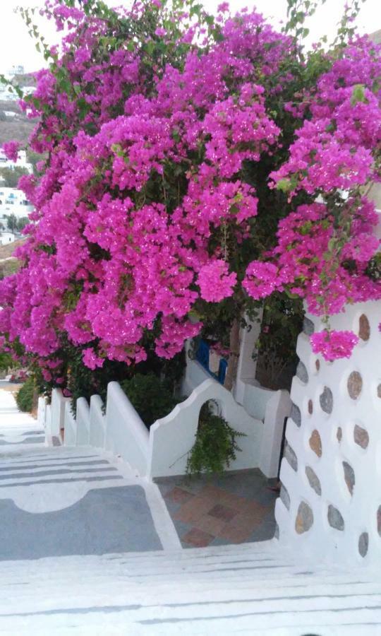 Butterfly View Suites Astypalaia Экстерьер фото